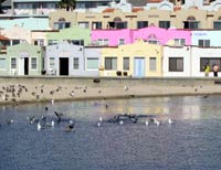 Venitian Apartments, Capitola, Californi