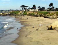 West Cliff Drive, Santa Cruz, California