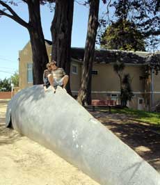 Museum of Natural History, Santa Cruz