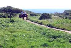 Horse trails, Wilder Ranch State Park